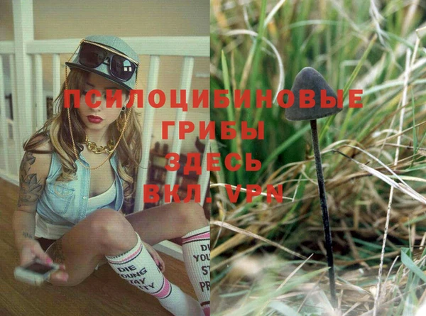 герыч Белокуриха