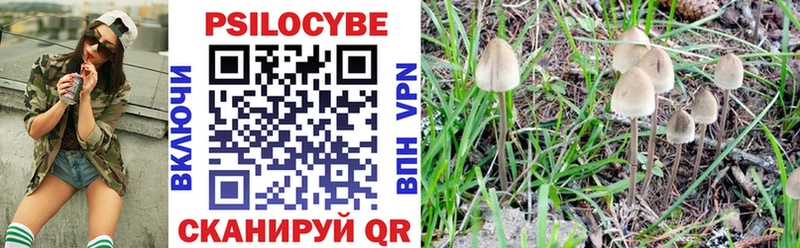 где купить наркоту  Армавир  Галлюциногенные грибы мухоморы 